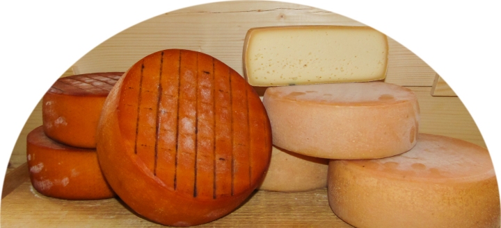 Medientitel/Linktitel