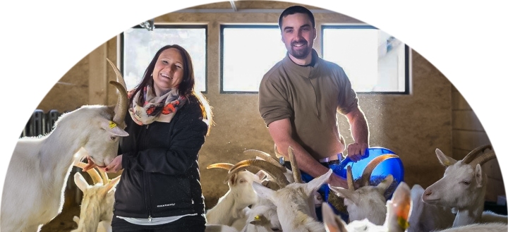 Medientitel/Linktitel