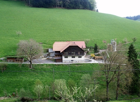 Medientitel/Linktitel