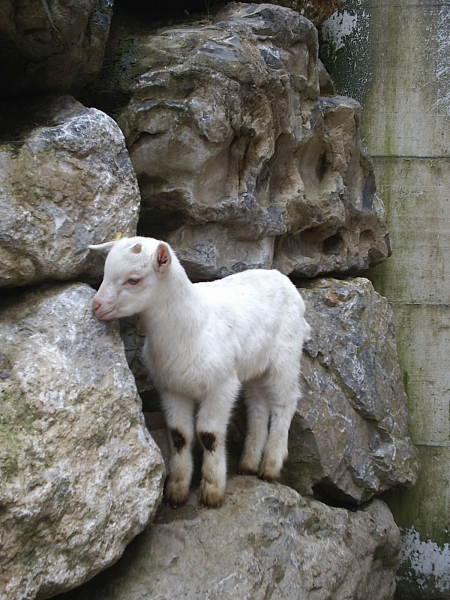 Medientitel/Linktitel