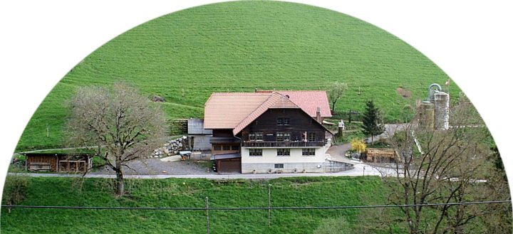 Medientitel/Linktitel