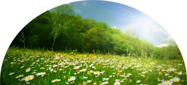 Medientitel/Linktitel