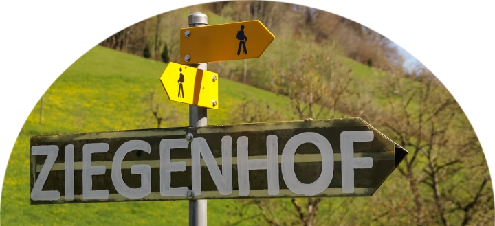 Medientitel/Linktitel