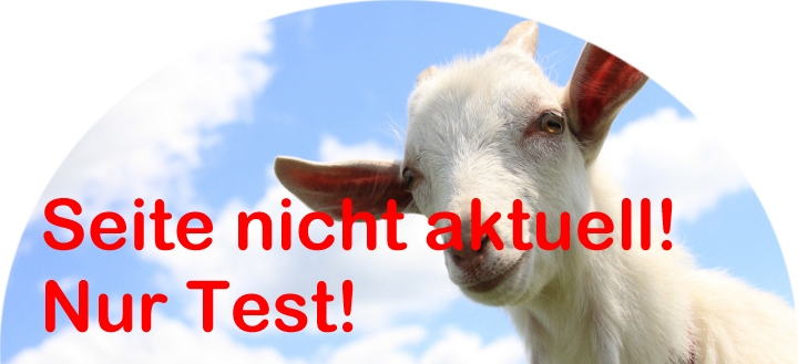 Medientitel/Linktitel